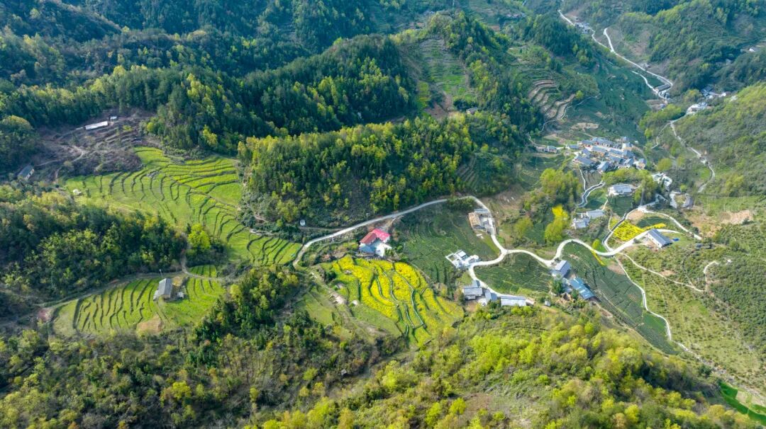 绿水青山就是金山银山 鸟瞰天宝村全貌 皇冠线上体育登录入口年3月拍摄于双龙镇天宝村--邵向东.jpg