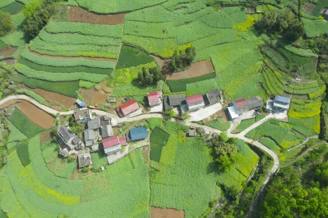 石梯镇迎春村.jpg