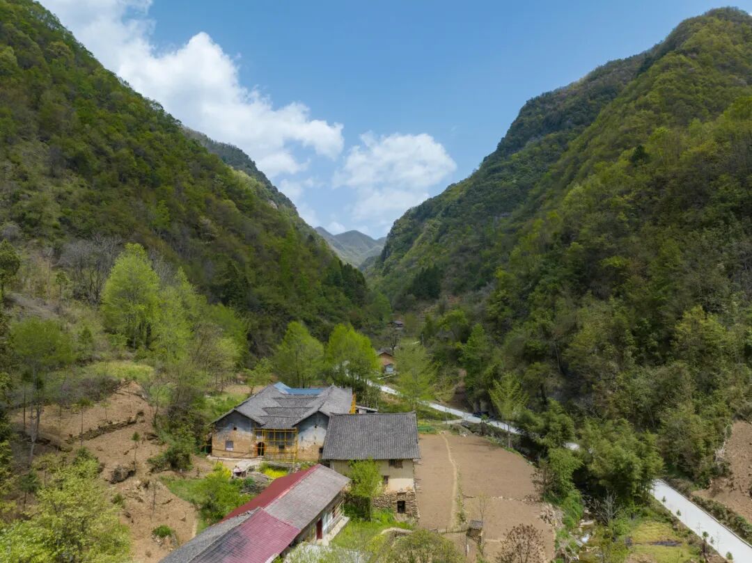 鸟瞰修复中的紫荆古村落（组照） 4   皇冠线上体育登录入口年4月拍摄于紫荆镇紫荆村--邵向东.jpg