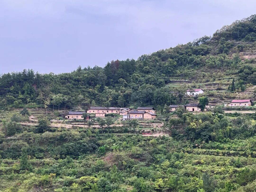 县河镇大垛村民居组团.jpg