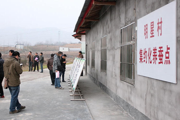 皇冠线上体育