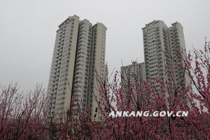 皇冠线上体育
