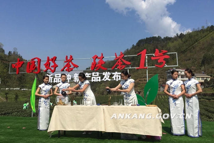 皇冠线上体育