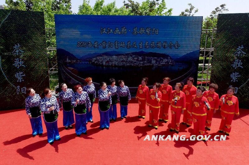 皇冠线上体育