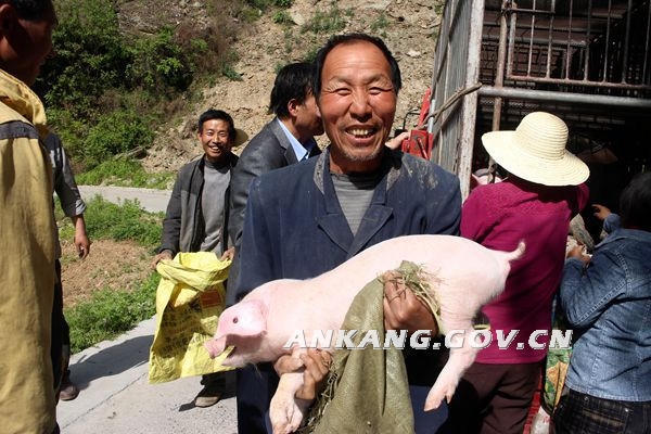 皇冠线上体育