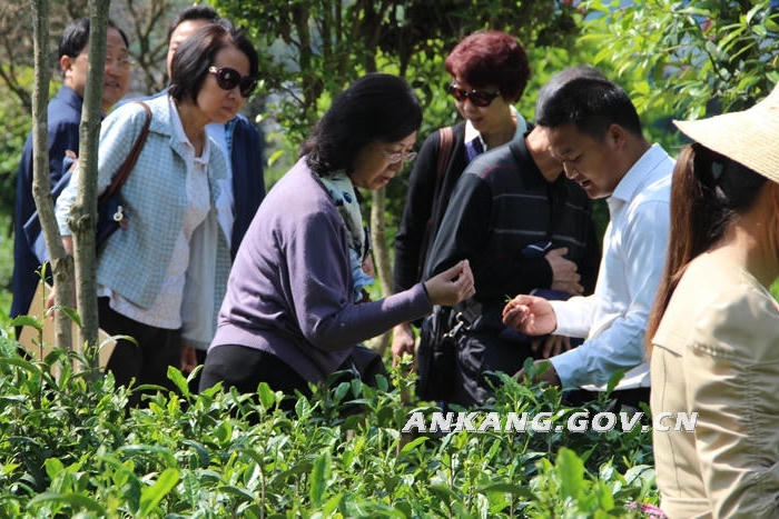 皇冠线上体育