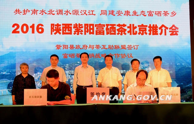 皇冠线上体育