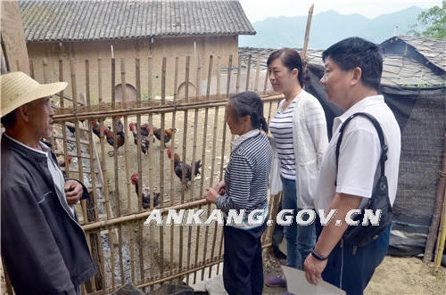 皇冠线上体育