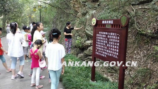 皇冠线上体育