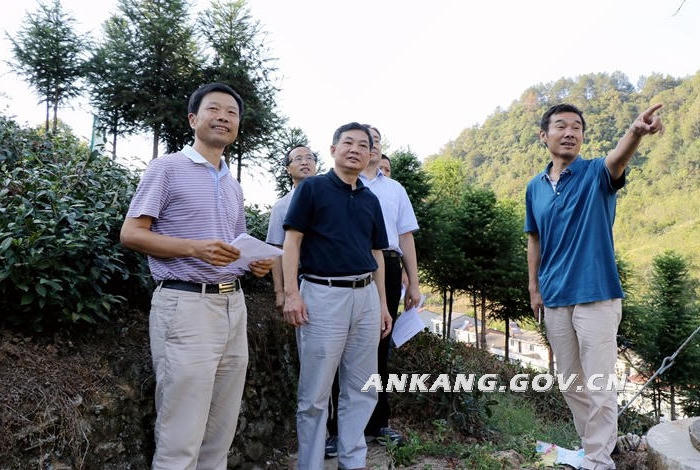 皇冠线上体育