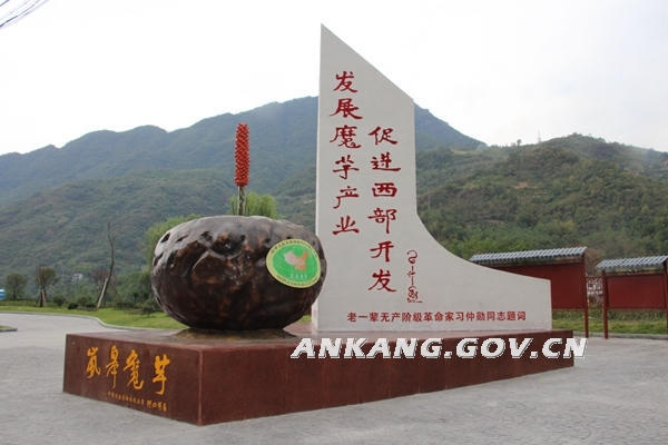皇冠线上体育