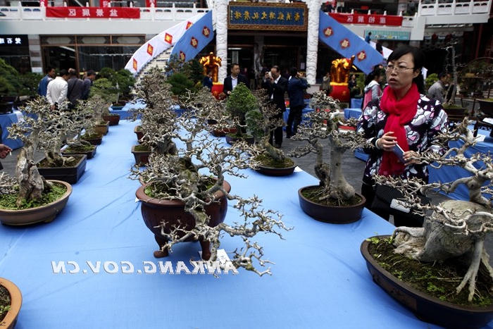 皇冠线上体育