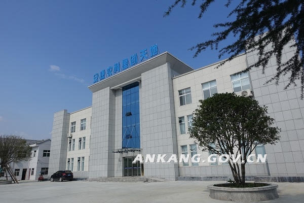 皇冠线上体育
