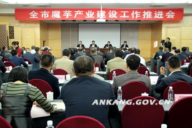 皇冠线上体育
