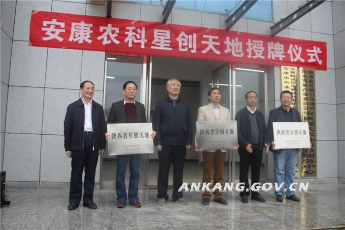 皇冠线上体育