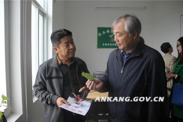 皇冠线上体育