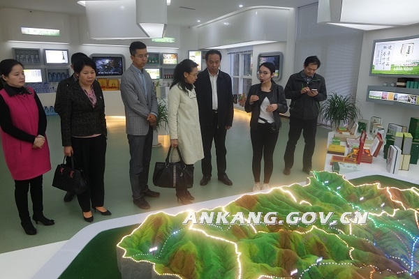 皇冠线上体育