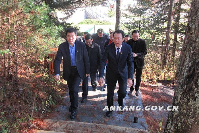 皇冠线上体育