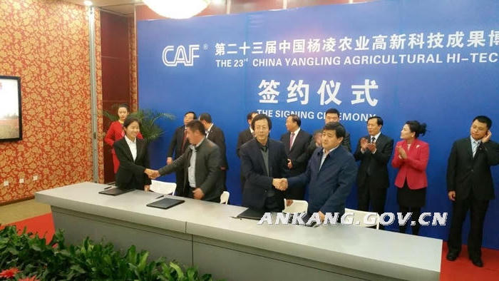 皇冠线上体育