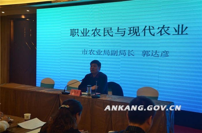 皇冠线上体育