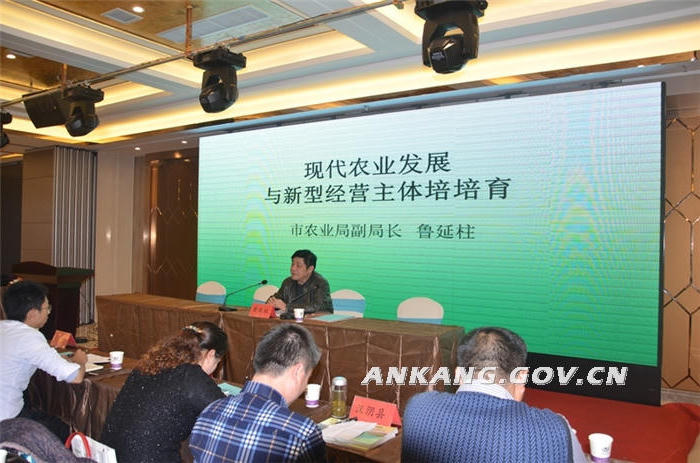 皇冠线上体育