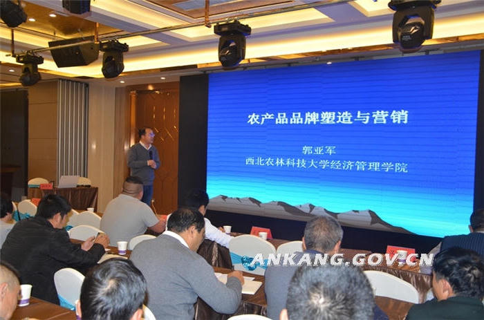 皇冠线上体育