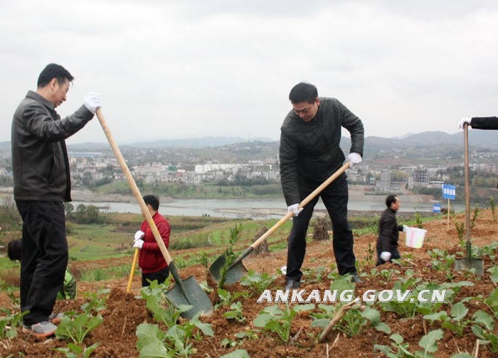 皇冠线上体育