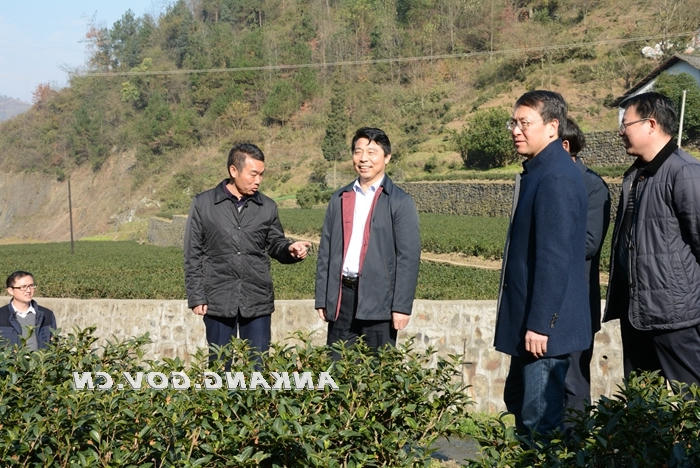 皇冠线上体育