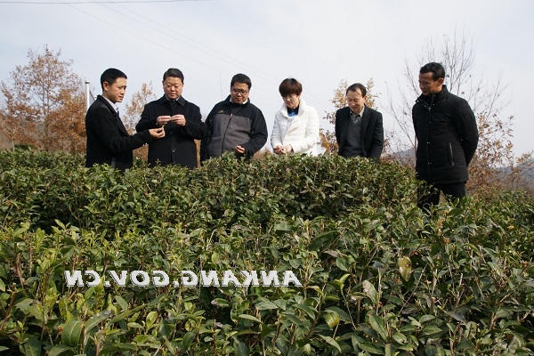 皇冠线上体育