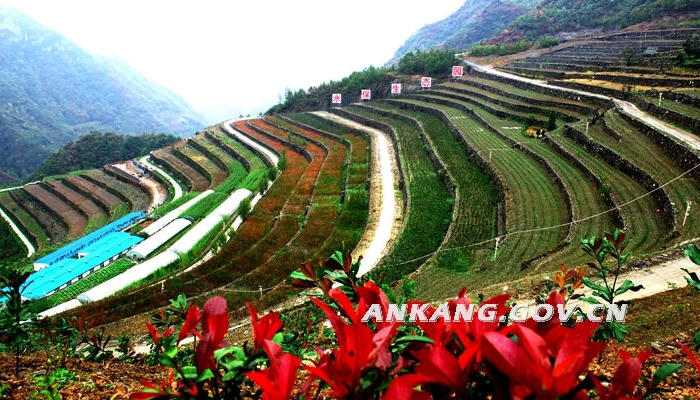 皇冠线上体育
