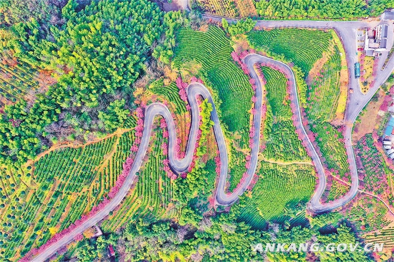 皇冠线上体育