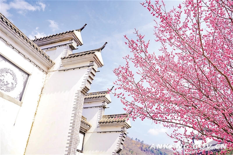 皇冠线上体育