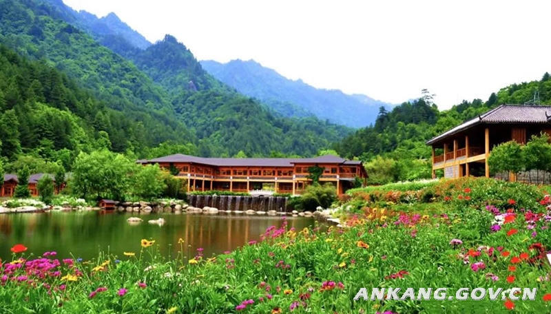 皇冠线上体育