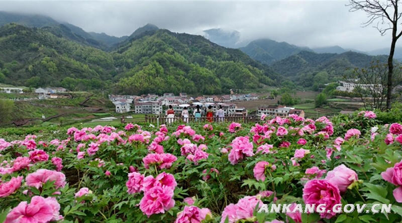 皇冠线上体育