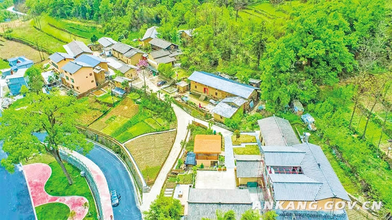 皇冠线上体育