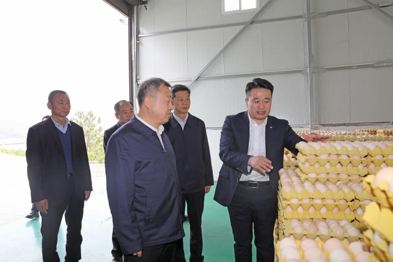 皇冠线上体育