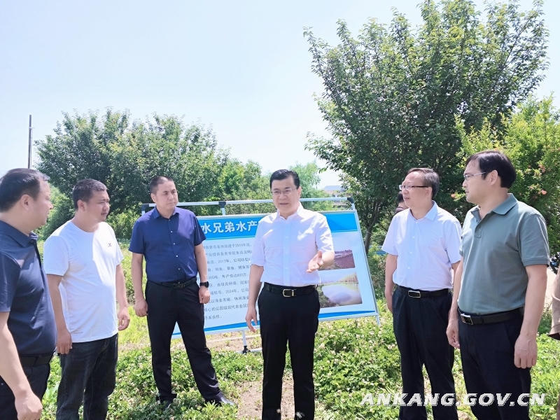 皇冠线上体育