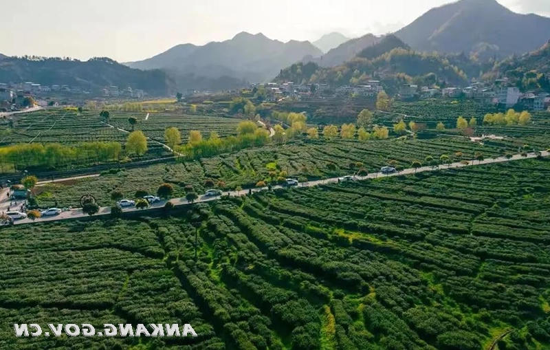 皇冠线上体育