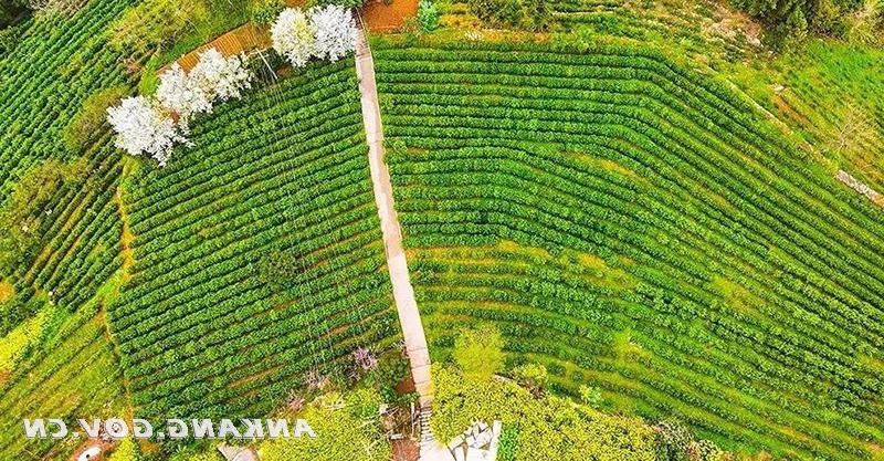 皇冠线上体育