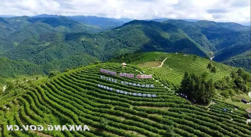 皇冠线上体育