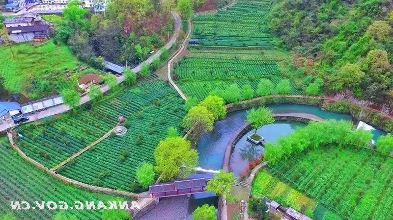 皇冠线上体育
