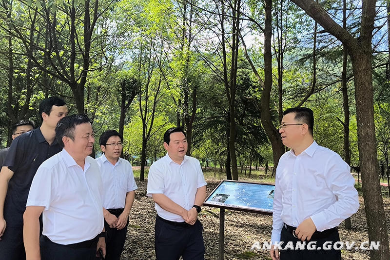 皇冠线上体育
