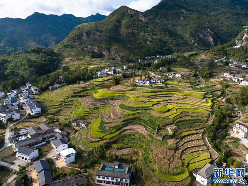 皇冠线上体育