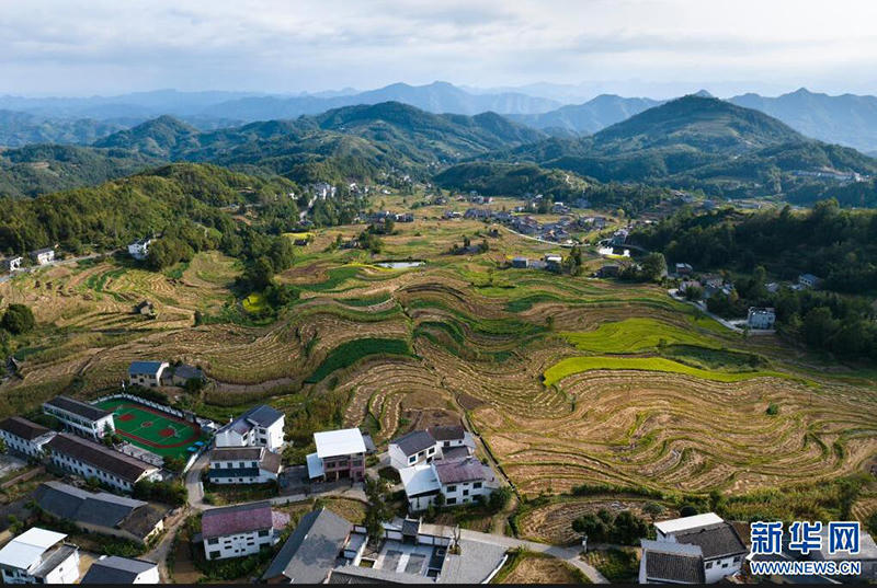 皇冠线上体育