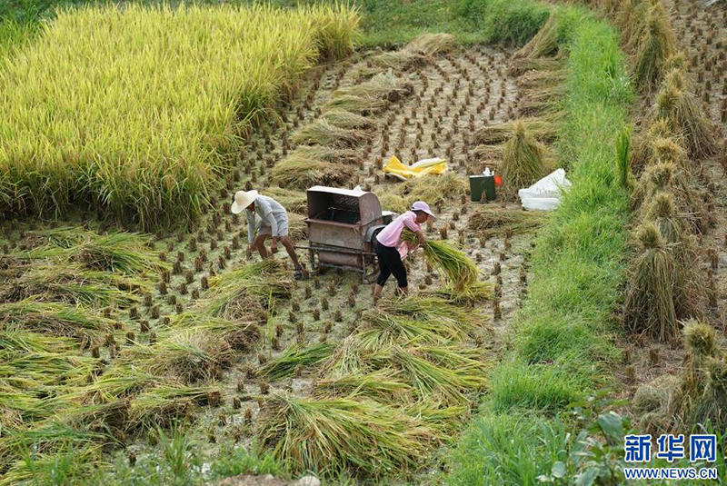 皇冠线上体育