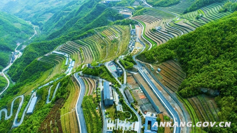 皇冠线上体育