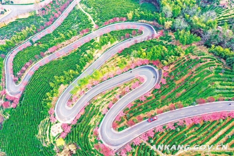 皇冠线上体育