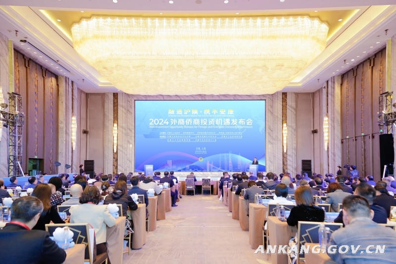 皇冠线上体育