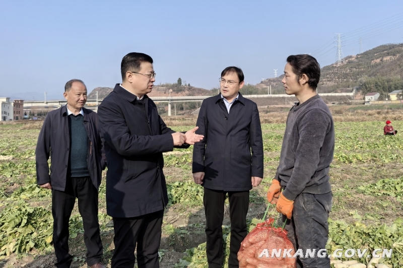 皇冠线上体育