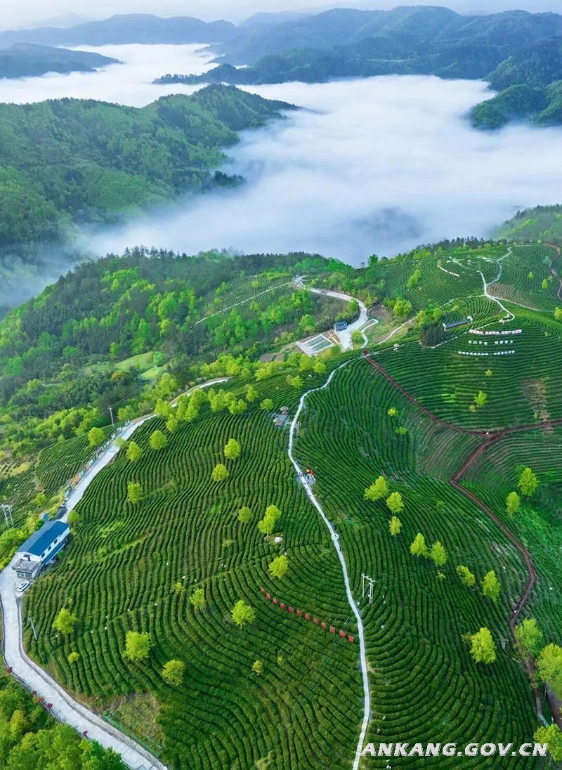 皇冠线上体育